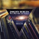 Dmitry Bereza - Selection of Soul