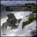 Spectrum Vision - Base 076
