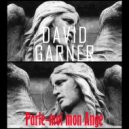 David Garner - Parle Moi Mon Ange