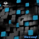 DJ Achaemenid - What Is Wrong