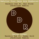 Bandulu Dub, Ras Stone, Darbinyan - Babylon Your Days Are Numbered (feat. Ras Stone)