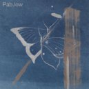 Pab.low - Synthetic Space