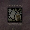 Mini linKing - Bal