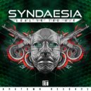 Syndaesia - 911