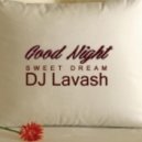 DJ Lavash - Good Night