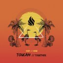 Toucan - Together (Original Mix)