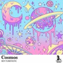 Boy Funktastic - Cosmos