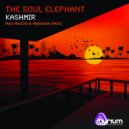 The Soul Elephant - Kashmir