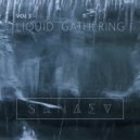 Sanaev - Liquid Gathering Vol.3
