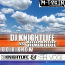 Silverblue - Do U Know (DJ Knightlife & Seth Vogt Remix)