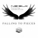 NEBUK - Falling To Pieces