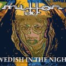 JJMillon - Swedish In The Night