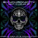 Synchronicity - Worm Hole