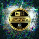 David Ribeiro - In That Bass