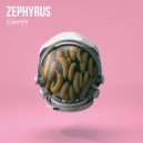 Echocopy - Guide to Zephyrus 2