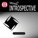 bRUJOdJ - Introspective