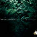 Invisible Landscape - Trouble Me
