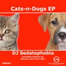 DJ Sedatophobia - Cats