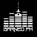 Aleks Prokhorov - BarneoFM.ru House podcast [Mix]