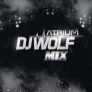 DJ WOLF - Special Сollection #0015