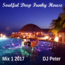 DJ Peter - Soulful Deep Funky House - Mix 1 2017