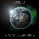 Druid - For The Gods