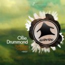 Ollie Drummond - The Touring Organism