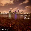 Aerobatics - Miami