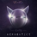 Aerobatics - Cats