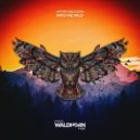Antony Waldhorn - Into The Wild