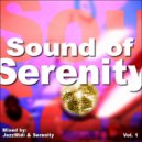 Jazzx - Sound of Serenity Vol. 1