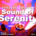 Jazzx - Sound of Serenity Vol. 4