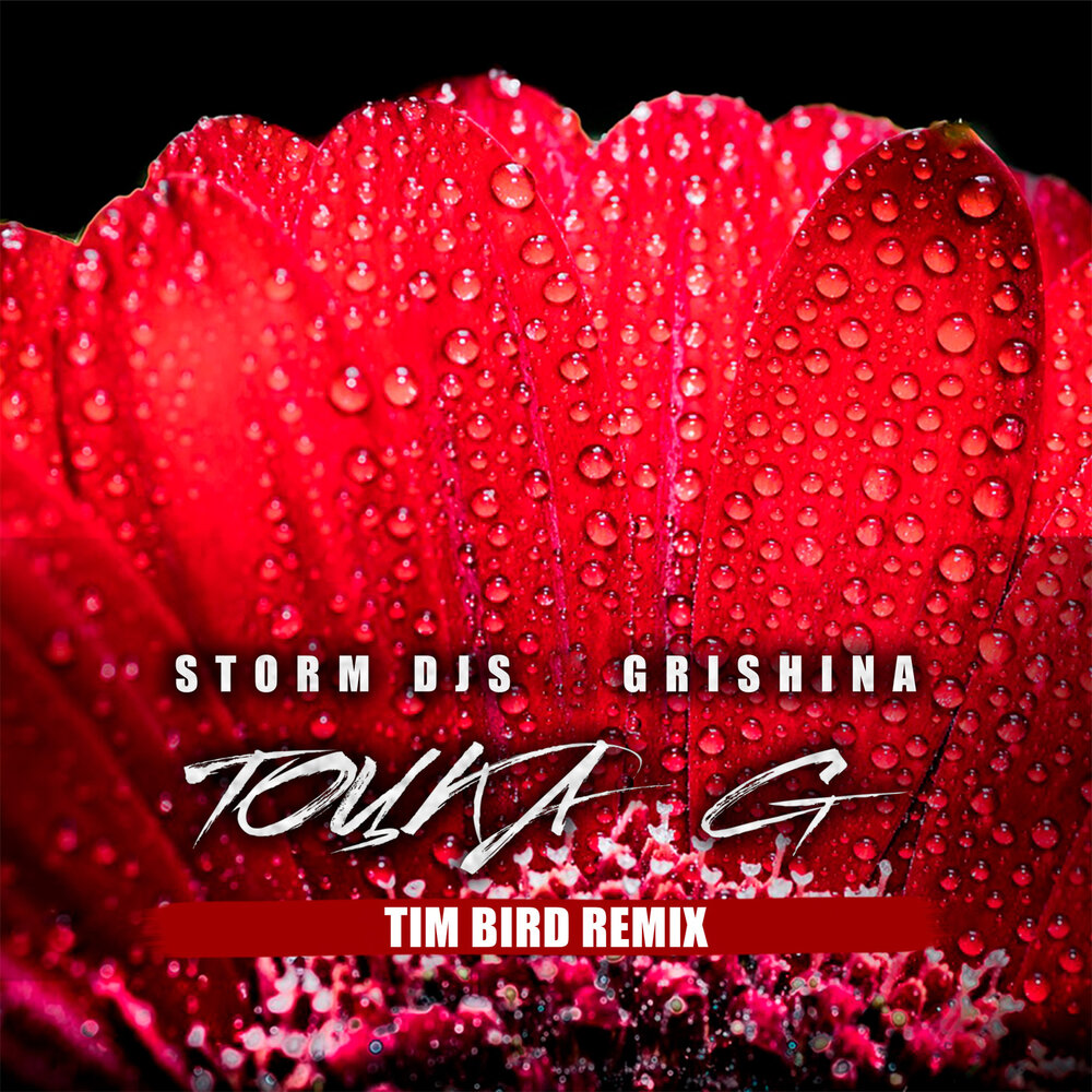 Storm DJS & Grishina точка g. Grishina точка j Storm DJS.