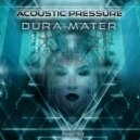 Acoustic Pressure - Arachnoid Mater