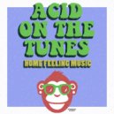 Acid On The Tunes - Feel The Groove