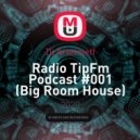 Dj Artemieff - Radio TipFm Podcast #001 (Big Room House)