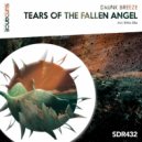 Drunk Breeze - Tears Of The Fallen Angel