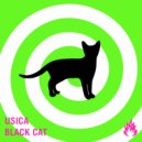 Usica - Black Cat