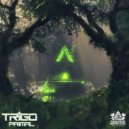 TRIGO - Midnight Canopy