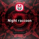 Dj Vl Raccoon - Night raccoon