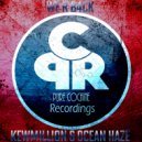 Ocean Haze - Destiny (Original Mix)