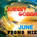 DJ Andrey Gorkin - June Promo Mix 2017