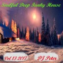 DJ Peter - Soulful Deep Funky House Vol 13 2017
