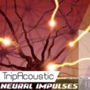 Tripacoustic - Hypno Strings