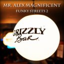 Mr. Alex Magnificent - Funky Streets 2