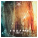 Singular Mind - From The Inside