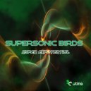 Supersonic Birds - India Africa Sky