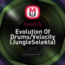 Diony5 Dj - Evolution Of Drums/Velocity (JungleSelekta)