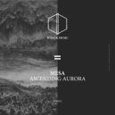 Mesa - Into The Storm