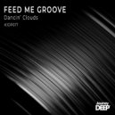 Feed Me Groove - It's Like That